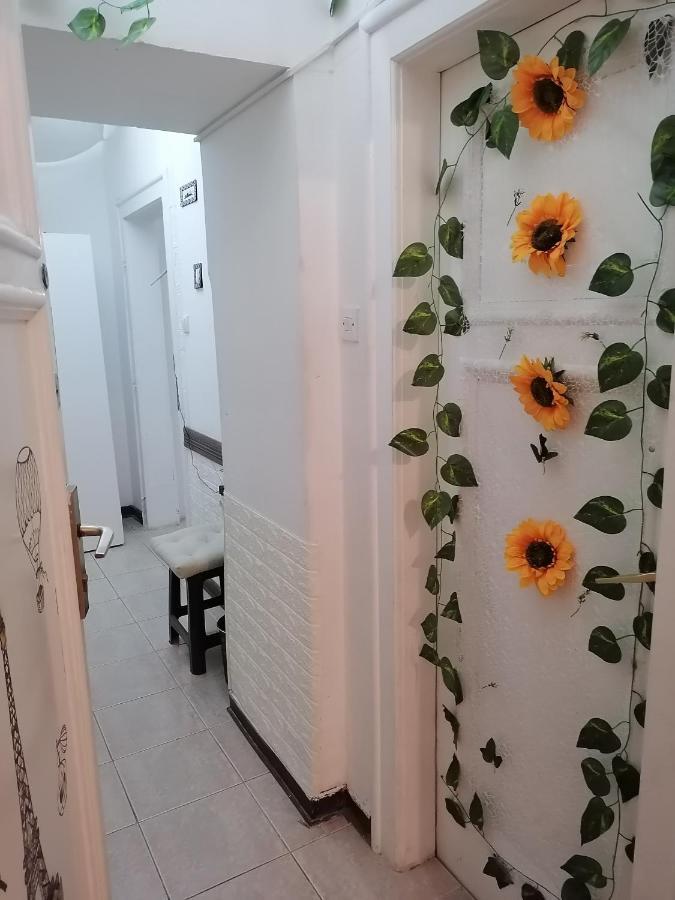 Low Cost Apartment Belgrado Exterior foto